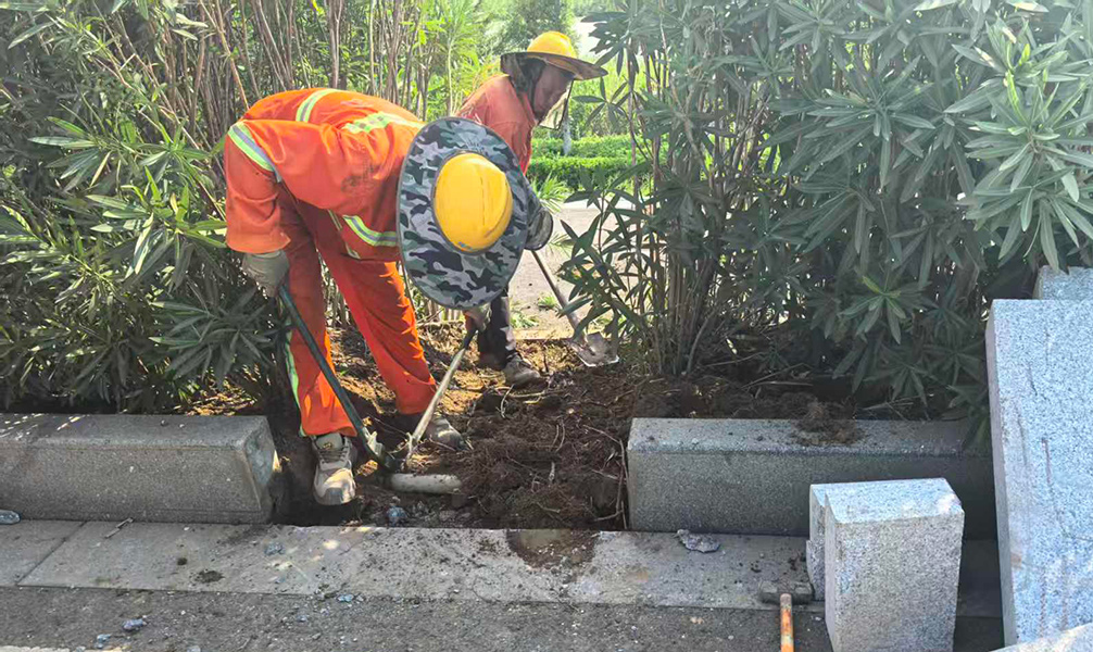 f025ac9165c9ed61d7c6e2b1466fb7a5